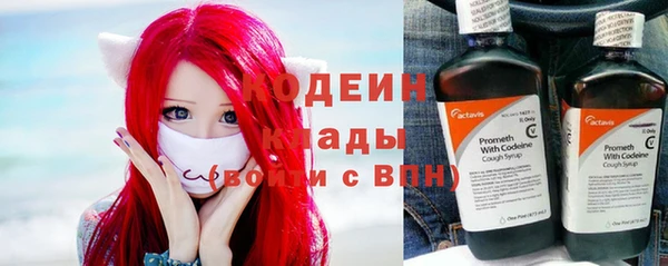 соль ск Бородино