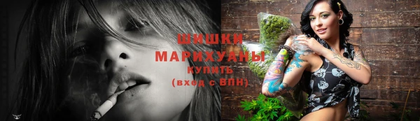 соль ск Бородино