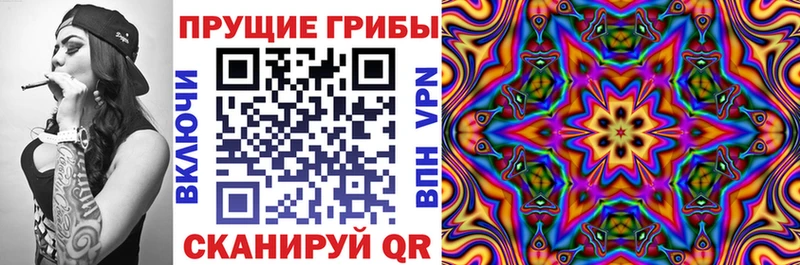 Купить где  Томмот  Галлюциногенные грибы Psilocybine cubensis 